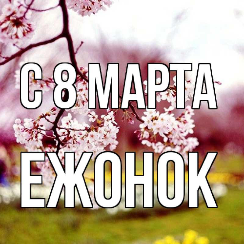 Картинка C 8 МАРТА, Ежонок