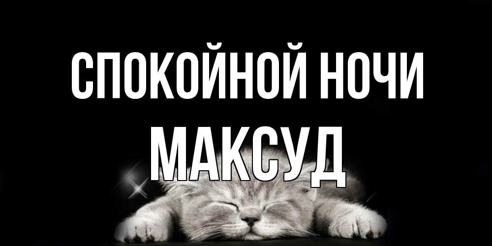Открытка на каждый день с именем, Максуд Спокойной ночи спящий котик Прикольная открытка с пожеланием онлайн скачать бесплатно 