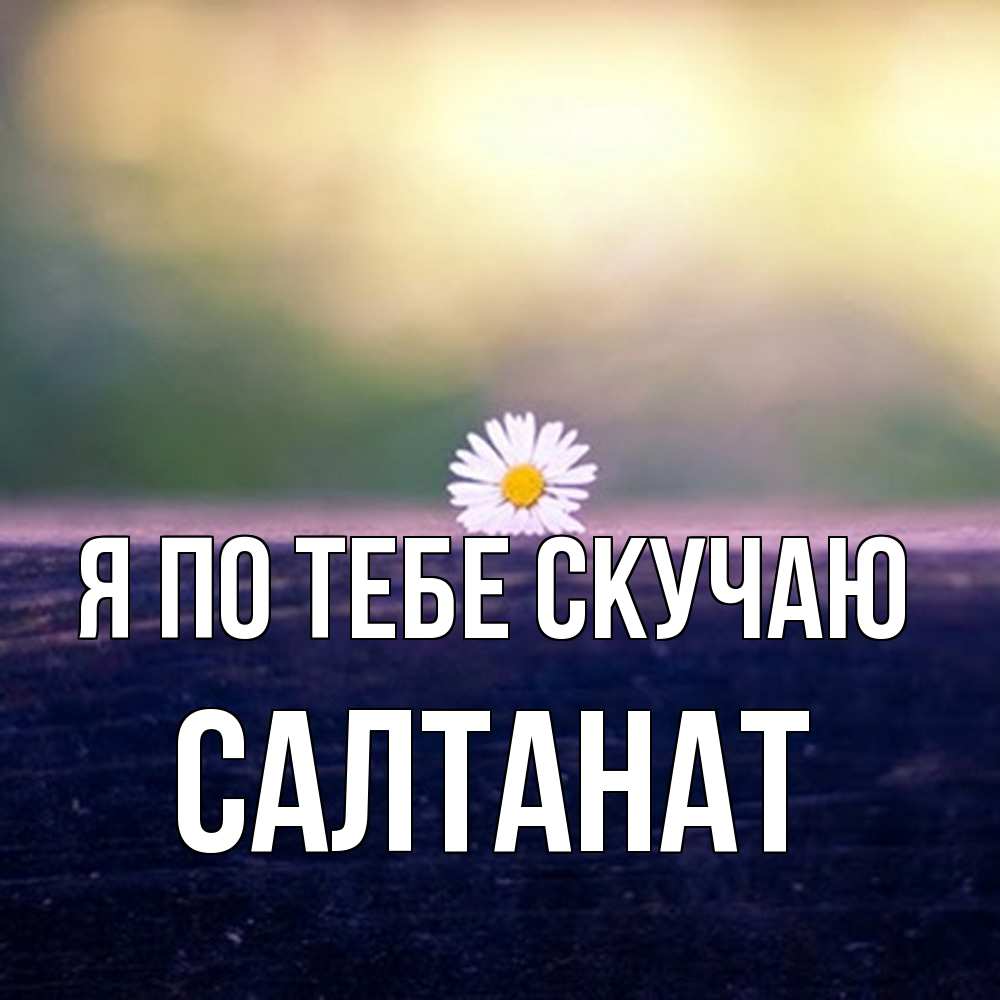 Открытка на каждый день с именем, Салтанат Я по тебе скучаю приходи в гости Прикольная открытка с пожеланием онлайн скачать бесплатно 