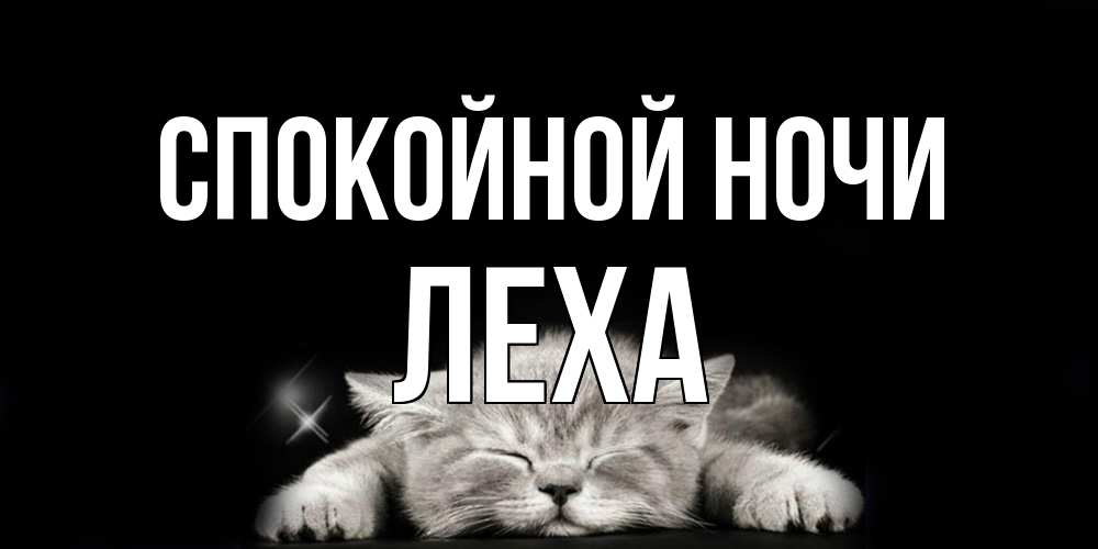 Открытка на каждый день с именем, леха Спокойной ночи спящий котик Прикольная открытка с пожеланием онлайн скачать бесплатно 