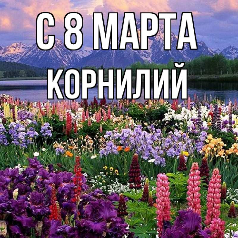 Картинка C 8 МАРТА, Корнилий