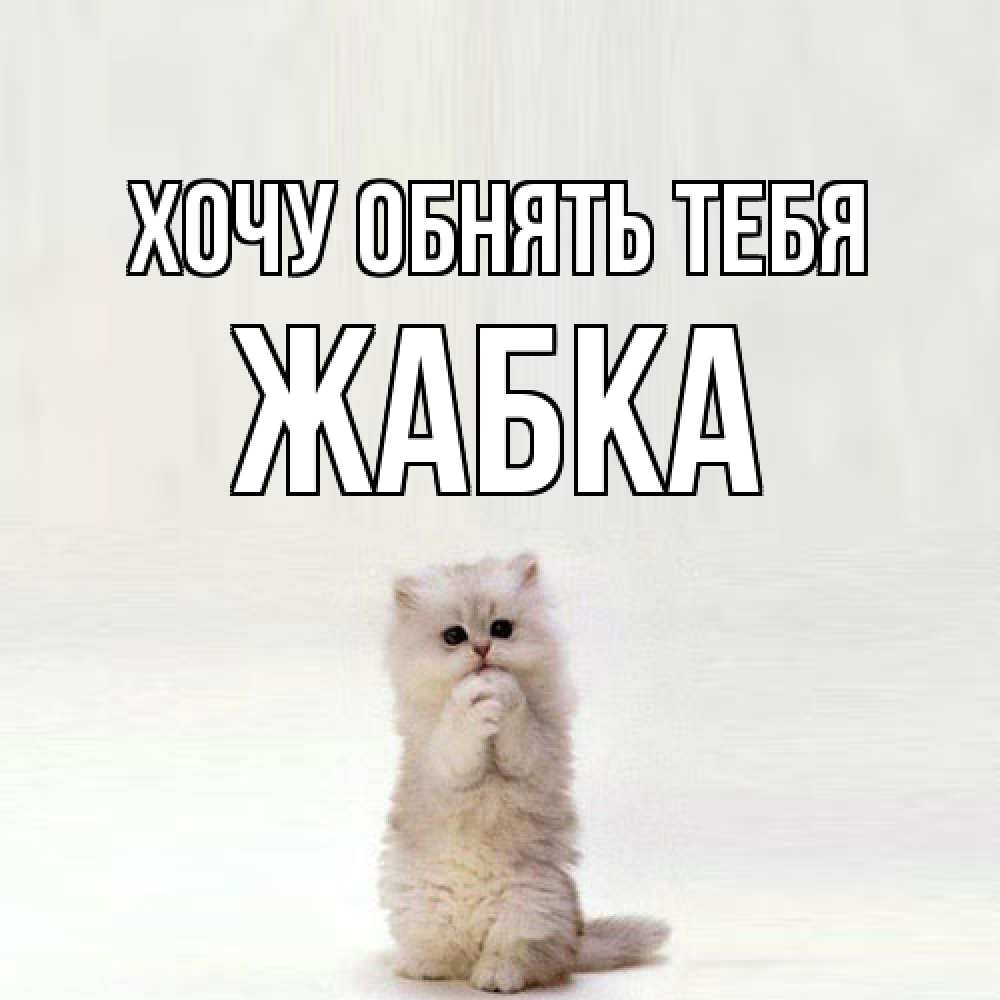 Открытка на каждый день с именем, Жабка Хочу обнять тебя открытки с креативными подписями Прикольная открытка с пожеланием онлайн скачать бесплатно 