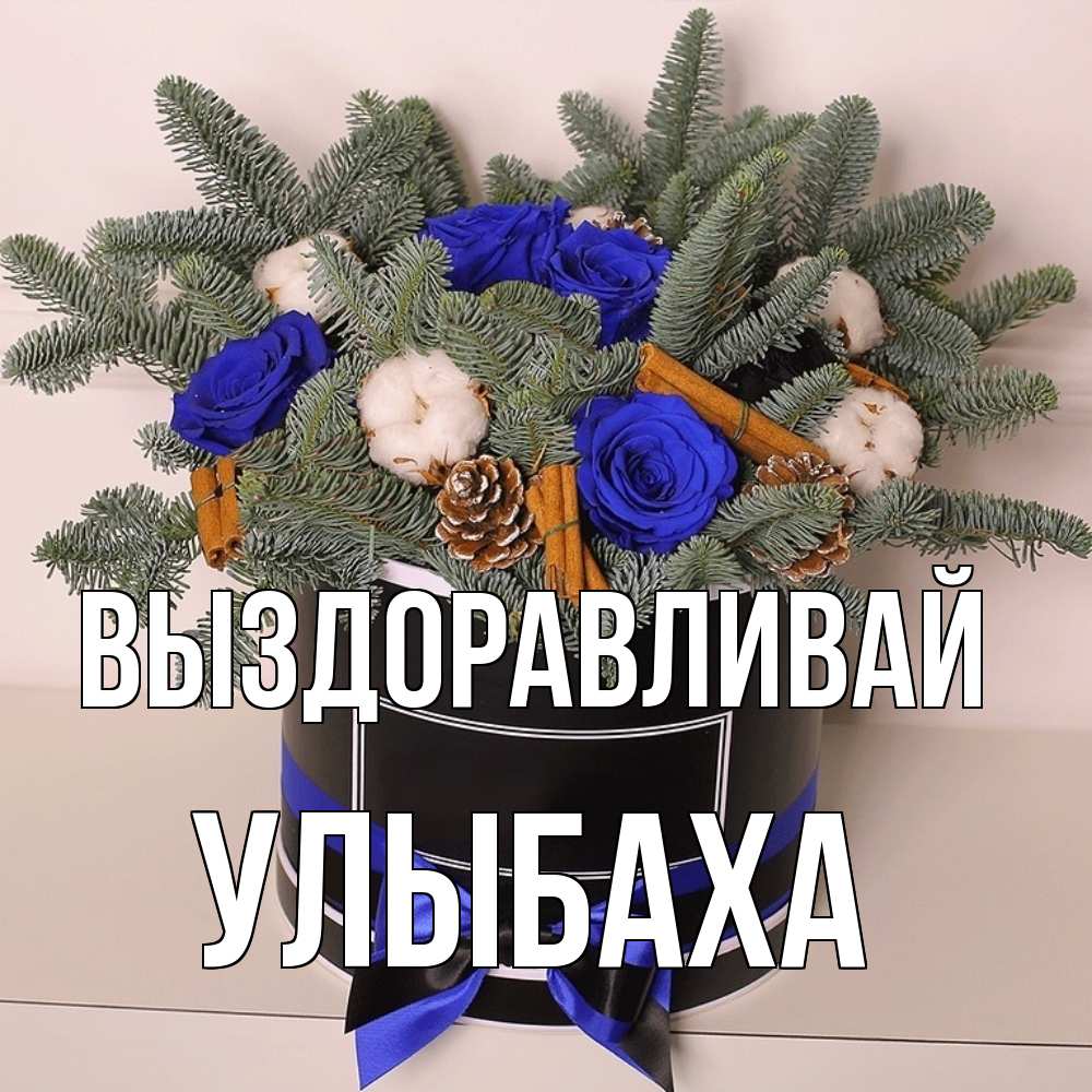 Открытка на каждый день с именем, Улыбаха Выздоравливай короче кто то загрузил эти шишки Прикольная открытка с пожеланием онлайн скачать бесплатно 