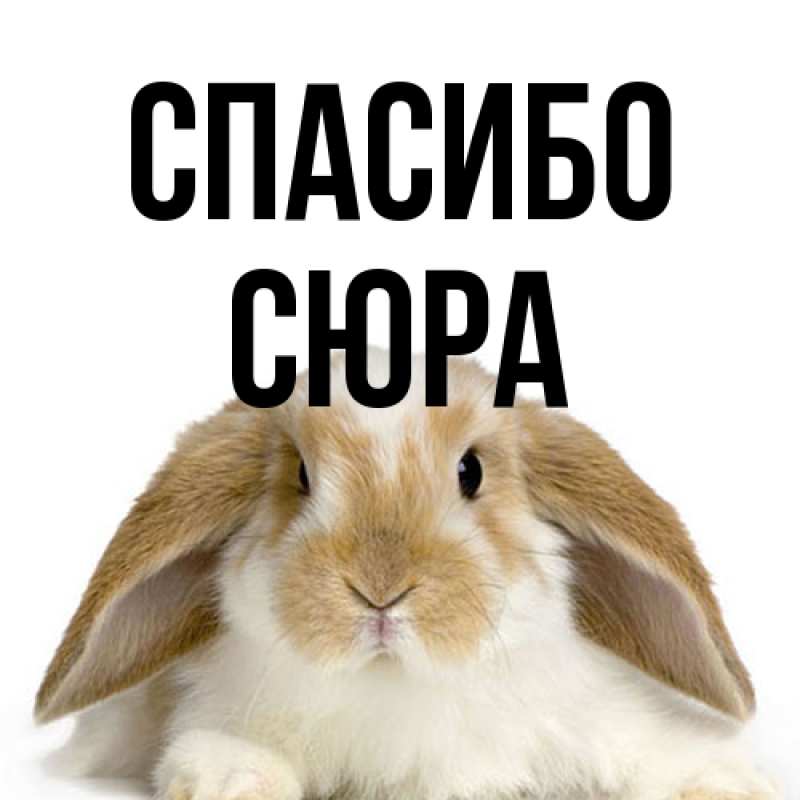 Картинка Спасибо, СЮРА
