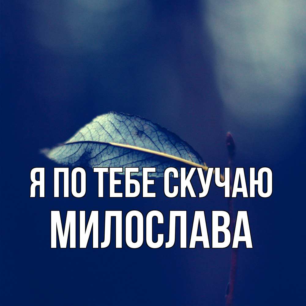 Открытка на каждый день с именем, Милослава Я по тебе скучаю одна ветка 1 Прикольная открытка с пожеланием онлайн скачать бесплатно 