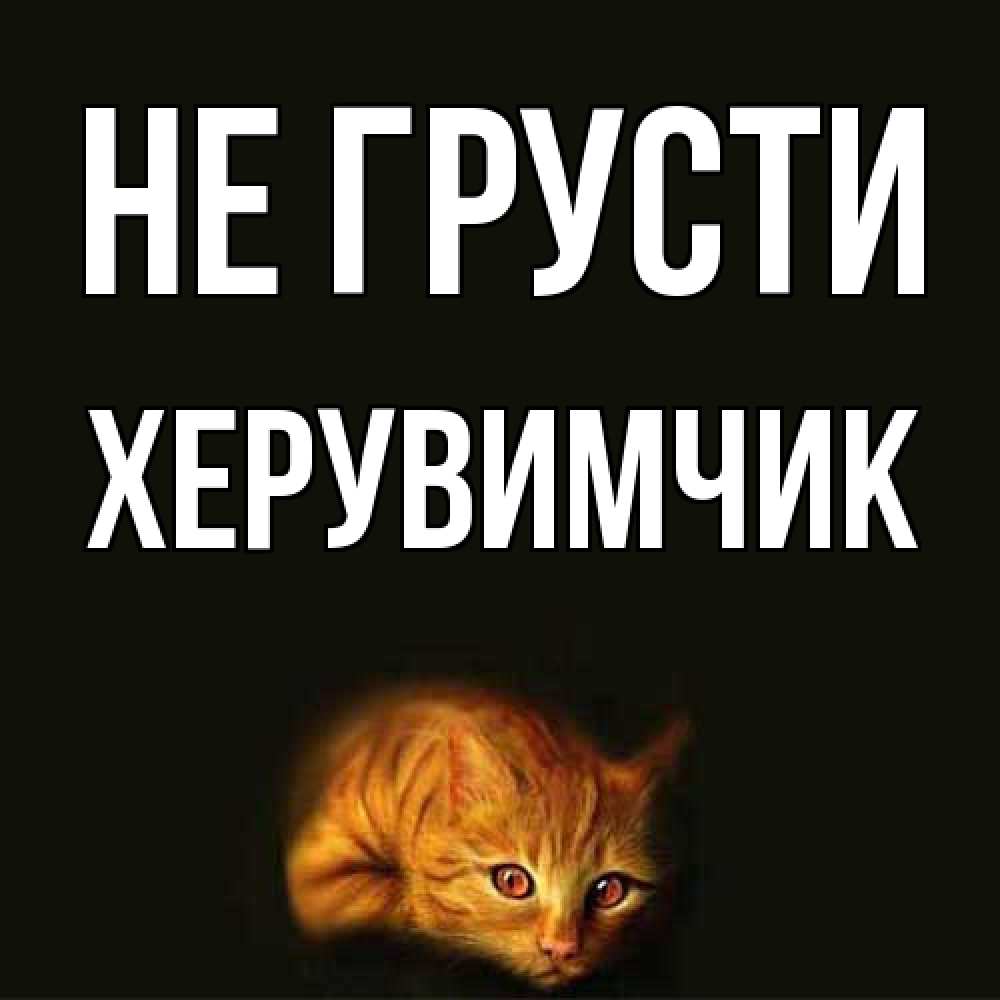 Открытка на каждый день с именем, Хеpувимчик Не грусти лежащий кот в темноте Прикольная открытка с пожеланием онлайн скачать бесплатно 