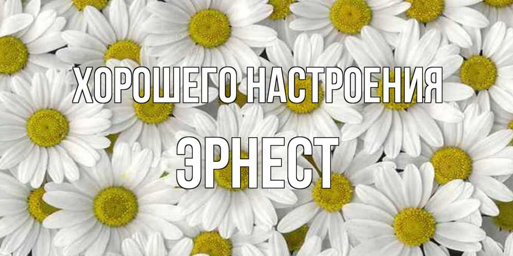 Открытка на каждый день с именем, Эрнест Хорошего настроения поляна ромашек Прикольная открытка с пожеланием онлайн скачать бесплатно 