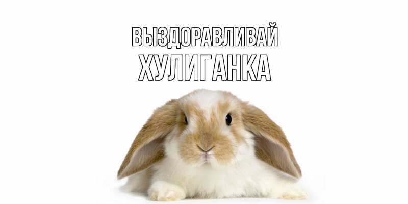 Картинка Выздоравливай, Хулиганка