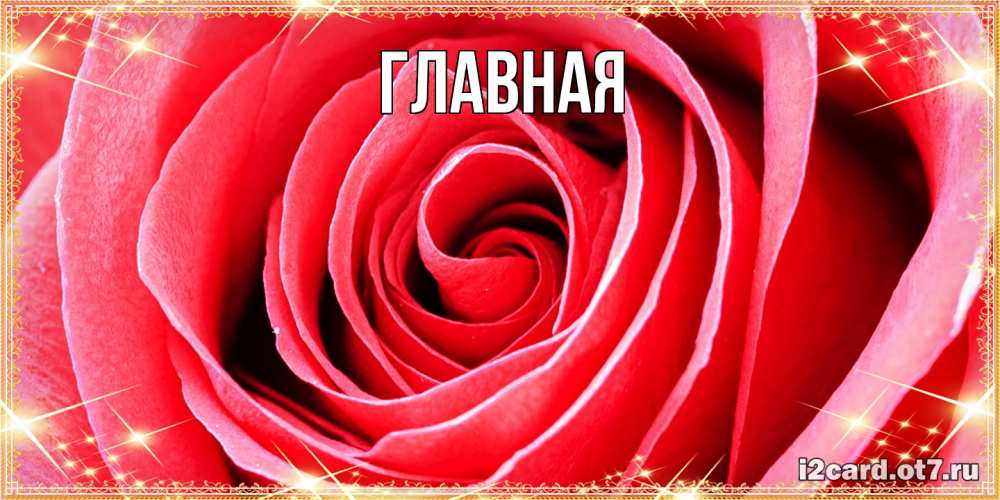 Открытка на каждый день с именем, Анна Главная розовая роза очень крупный бутон Прикольная открытка с пожеланием онлайн скачать бесплатно 