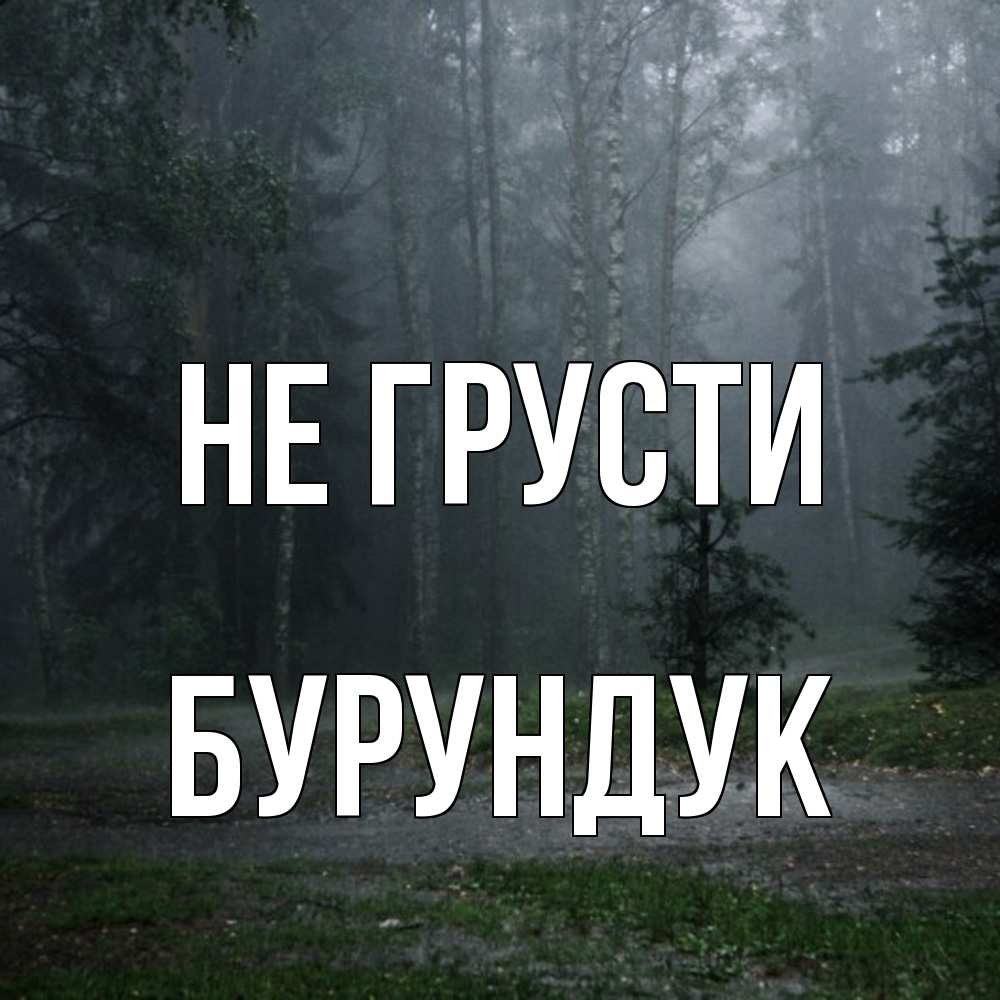 Открытка на каждый день с именем, Бурундук Не грусти осень Прикольная открытка с пожеланием онлайн скачать бесплатно 