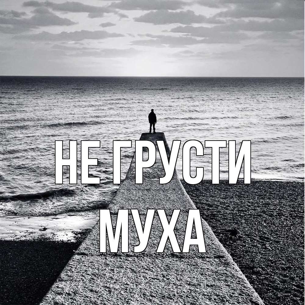 Открытка на каждый день с именем, Муха Не грусти море Прикольная открытка с пожеланием онлайн скачать бесплатно 