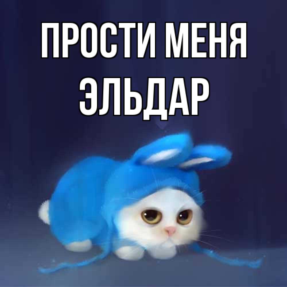 Открытка на каждый день с именем, Эльдар Прости меня невинный котозай просит прощения Прикольная открытка с пожеланием онлайн скачать бесплатно 