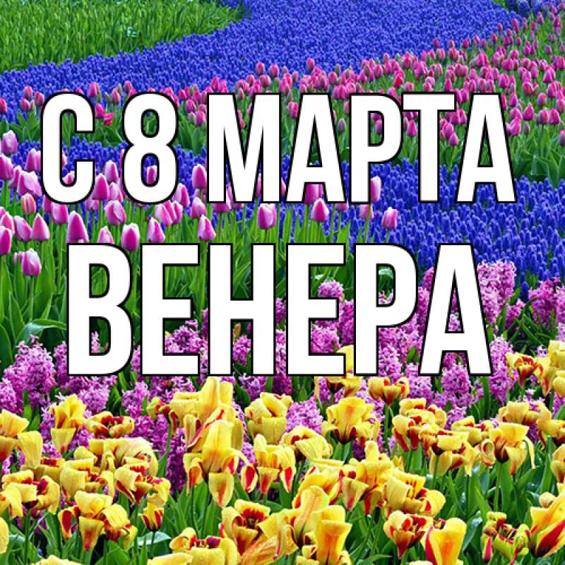 Картинка C 8 МАРТА, Венера