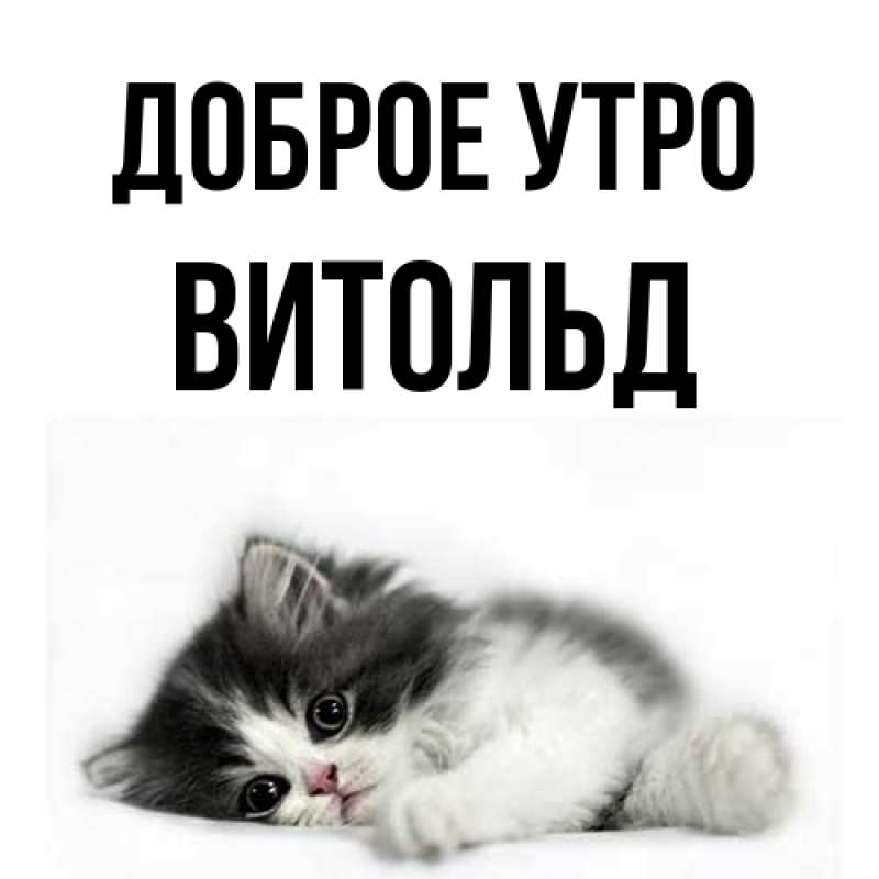 Картинка Доброе утро, Витольд