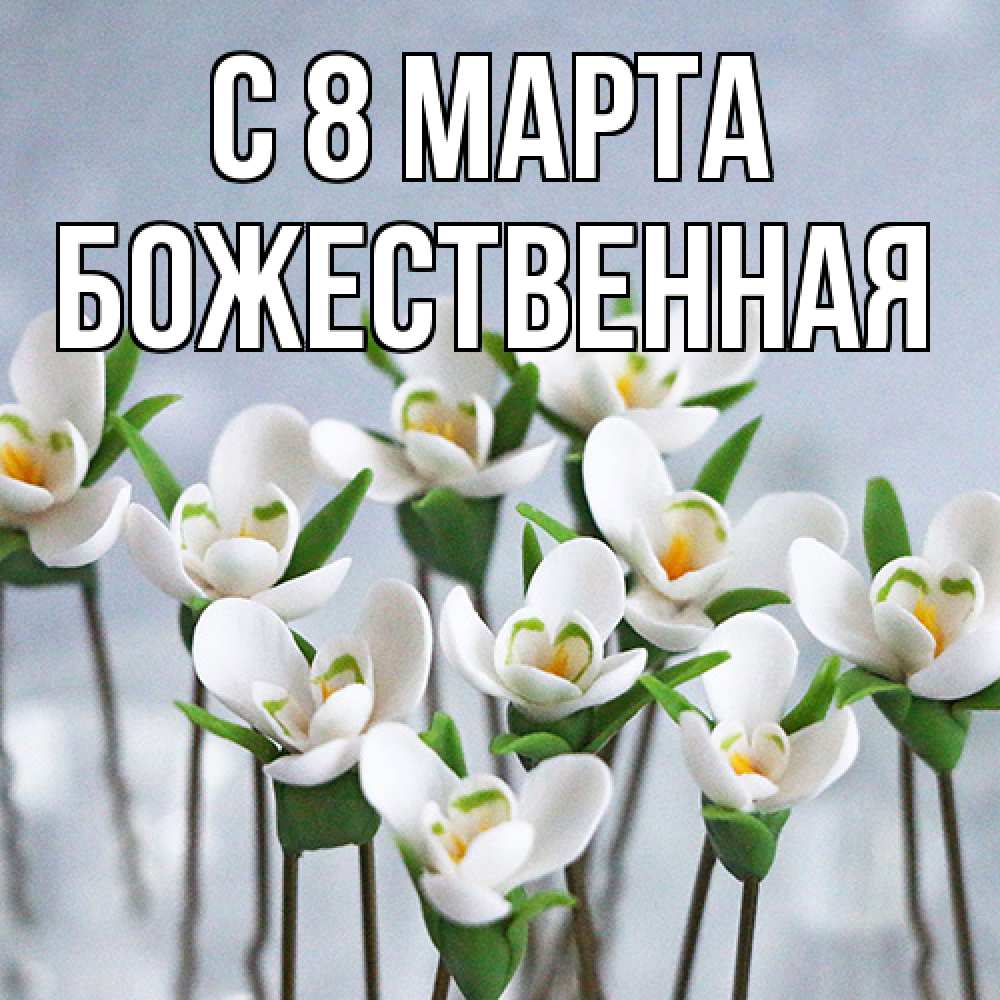 Открытка на каждый день с именем, божественная C 8 МАРТА весенние цветы Прикольная открытка с пожеланием онлайн скачать бесплатно 