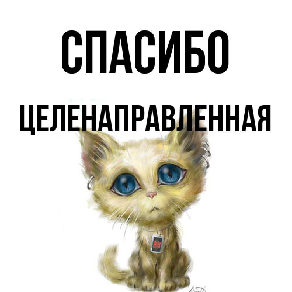 Открытка на каждый день с именем, целенаправленная Спасибо рисованный кот благодарит вас Прикольная открытка с пожеланием онлайн скачать бесплатно 