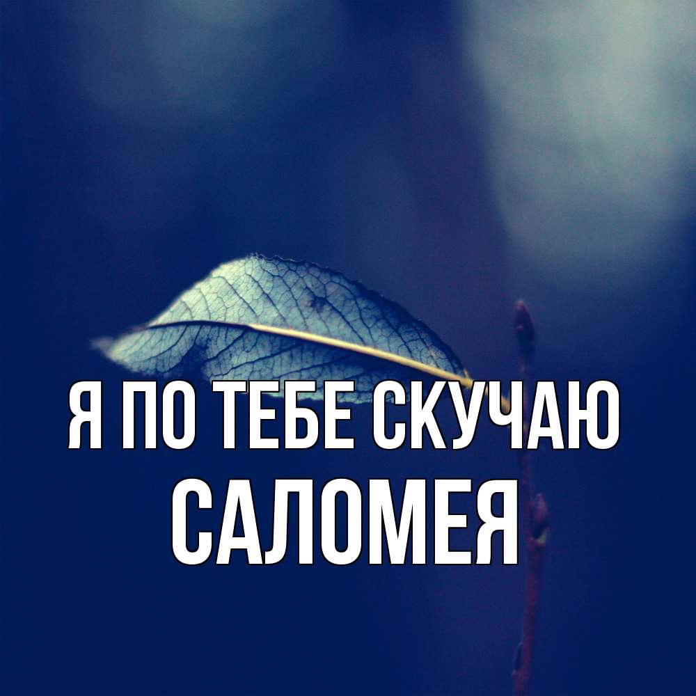 Открытка на каждый день с именем, Саломея Я по тебе скучаю одна ветка 1 Прикольная открытка с пожеланием онлайн скачать бесплатно 