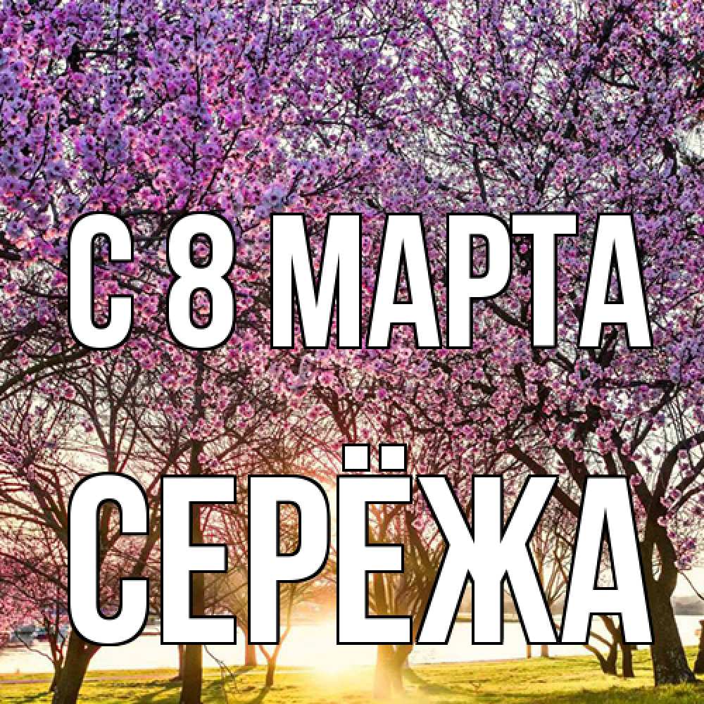 Открытка на каждый день с именем, Серёжа C 8 МАРТА международный женский день Прикольная открытка с пожеланием онлайн скачать бесплатно 