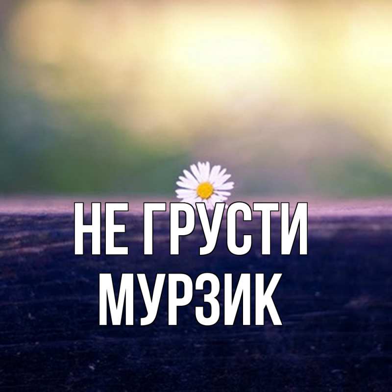 Картинка Не грусти, Мурзик