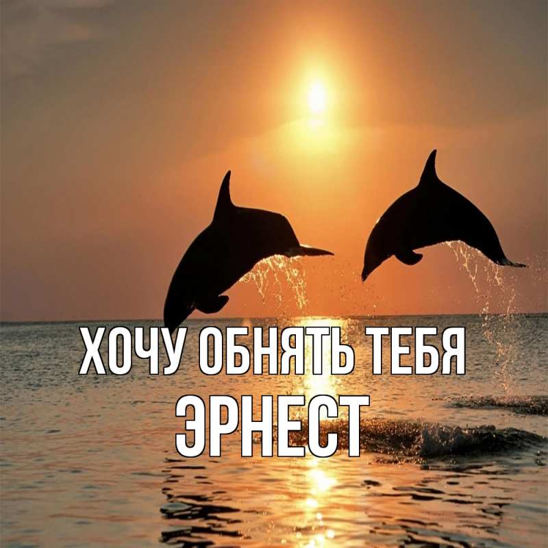 Картинка Хочу обнять тебя, Эрнест