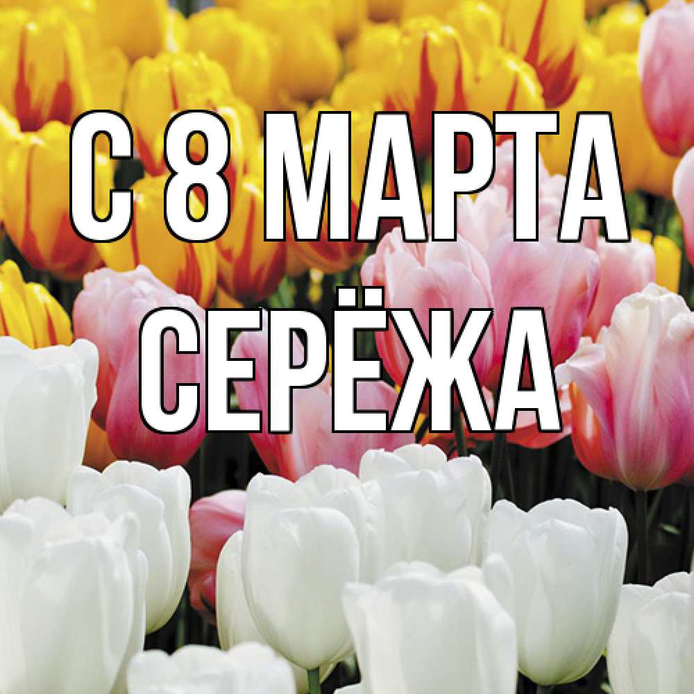 Открытка на каждый день с именем, Серёжа C 8 МАРТА разноцветные цветы Прикольная открытка с пожеланием онлайн скачать бесплатно 