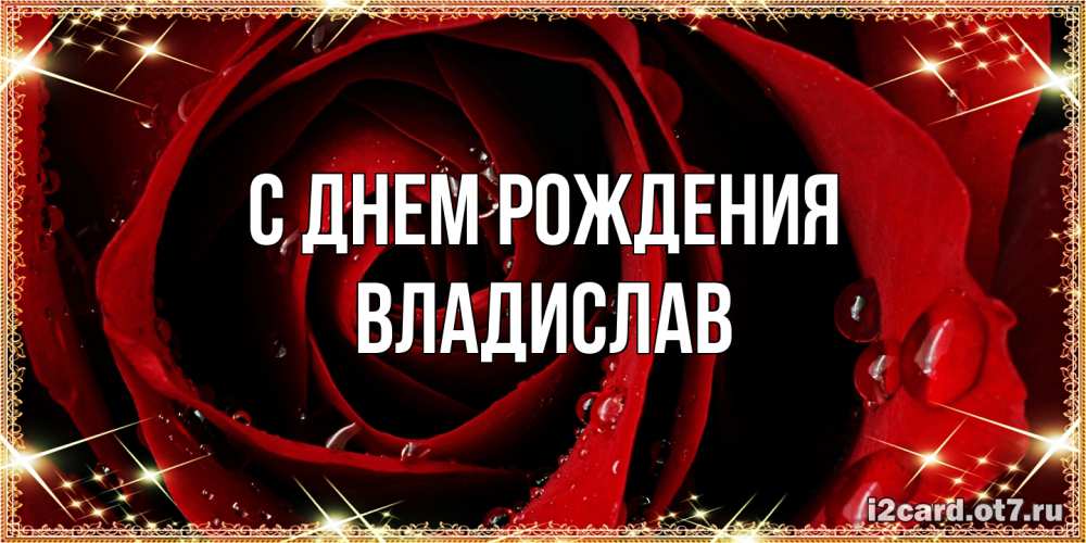 Открытка на каждый день с именем, Владислав С днем рождения цветок в росе на день рождения Прикольная открытка с пожеланием онлайн скачать бесплатно 