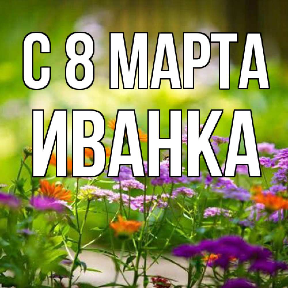 Открытка на каждый день с именем, Иванка C 8 МАРТА цветы Прикольная открытка с пожеланием онлайн скачать бесплатно 