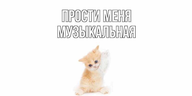 Картинка Прости меня, Музыкальная