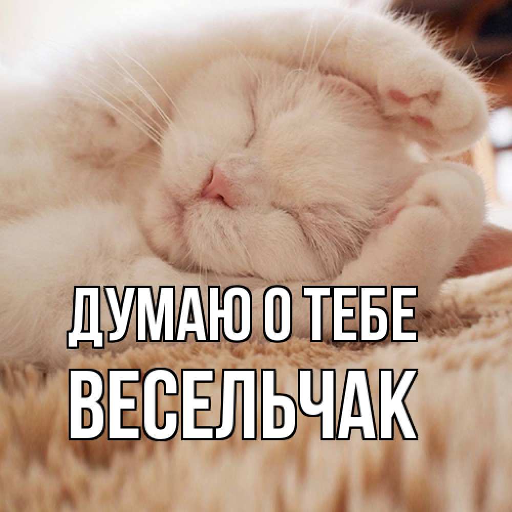 Открытка на каждый день с именем, Весельчак Думаю о тебе для любимой девушки милота Прикольная открытка с пожеланием онлайн скачать бесплатно 