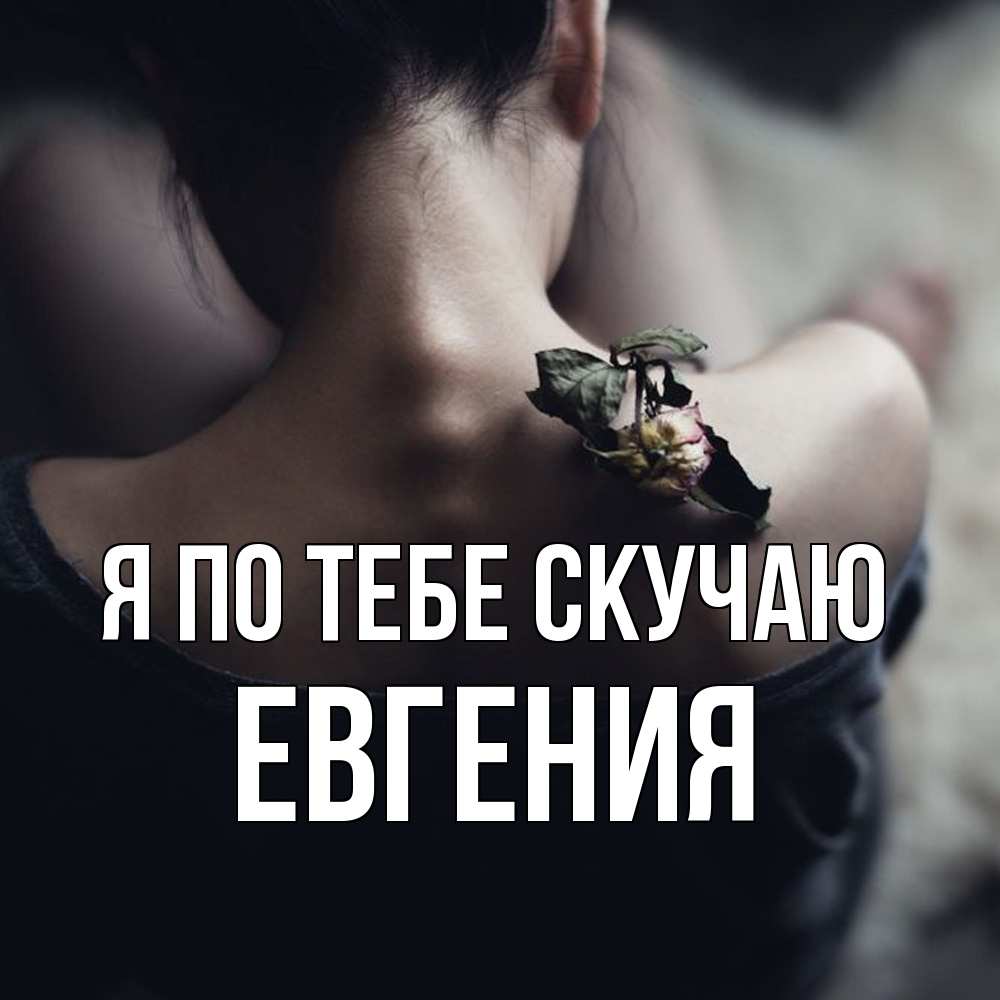 Открытка на каждый день с именем, Евгения Я по тебе скучаю засох цветок Прикольная открытка с пожеланием онлайн скачать бесплатно 