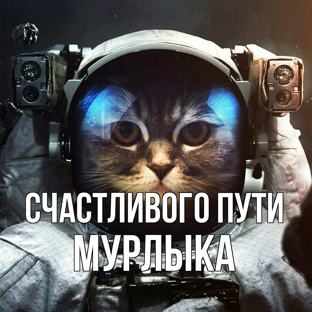Открытка на каждый день с именем, мурлыка Счастливого пути желает удачно добраться Прикольная открытка с пожеланием онлайн скачать бесплатно 
