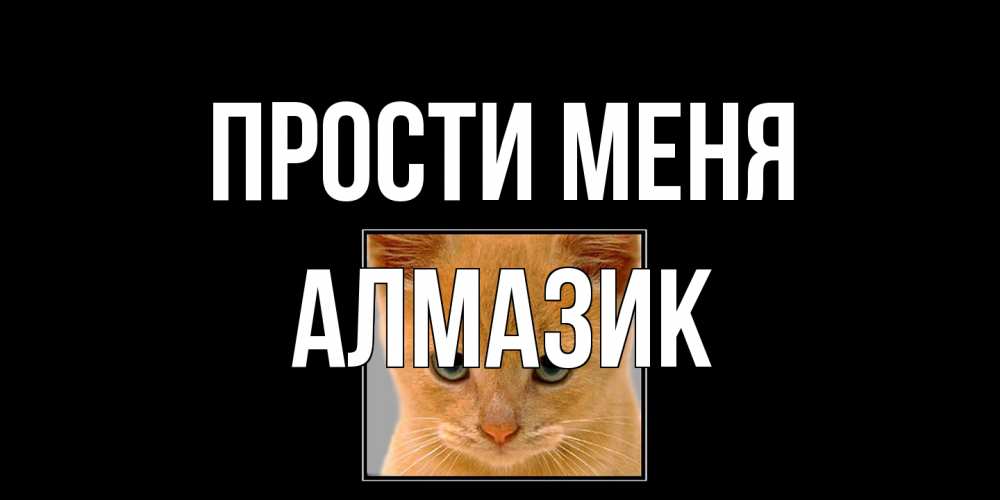 Открытка на каждый день с именем, Алмазик Прости меня рыжий грустный кот просит прощения Прикольная открытка с пожеланием онлайн скачать бесплатно 