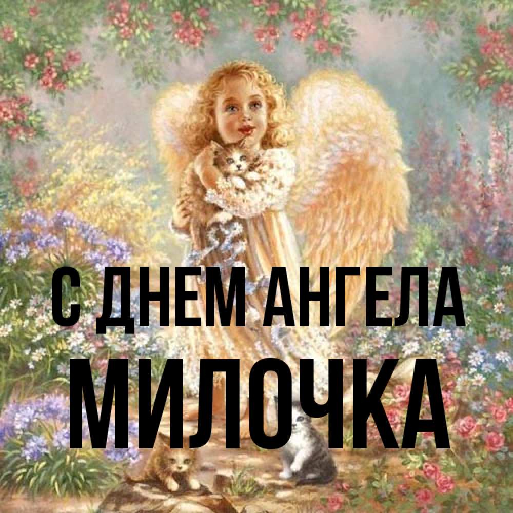 Открытка на каждый день с именем, Милочка С днем ангела держит котенка Прикольная открытка с пожеланием онлайн скачать бесплатно 