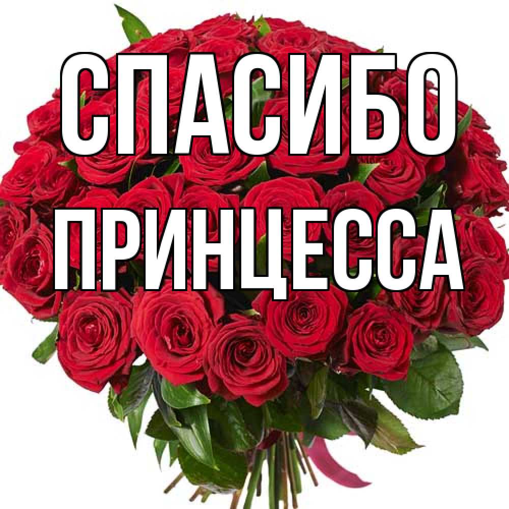 Открытка на каждый день с именем, Принцесса Спасибо букет красных роз Прикольная открытка с пожеланием онлайн скачать бесплатно 