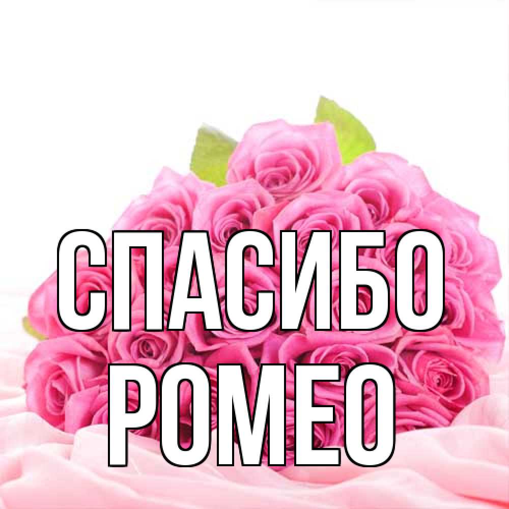 Открытка на каждый день с именем, Ромео Спасибо розовые розы с подписью Прикольная открытка с пожеланием онлайн скачать бесплатно 