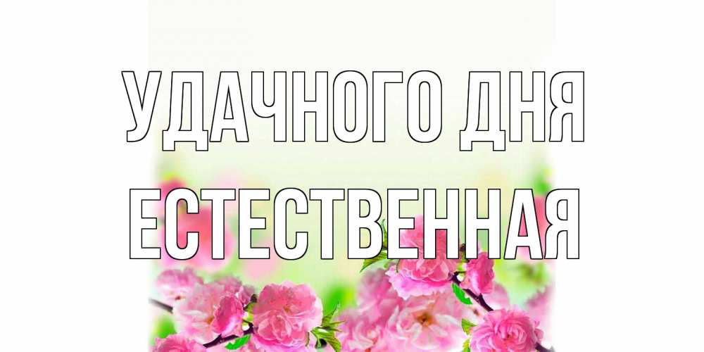 Открытка на каждый день с именем, Естественная Удачного дня цветы Прикольная открытка с пожеланием онлайн скачать бесплатно 