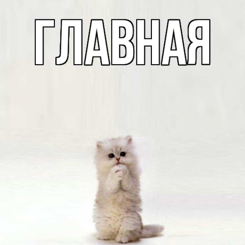 Картинка  с именем , настя