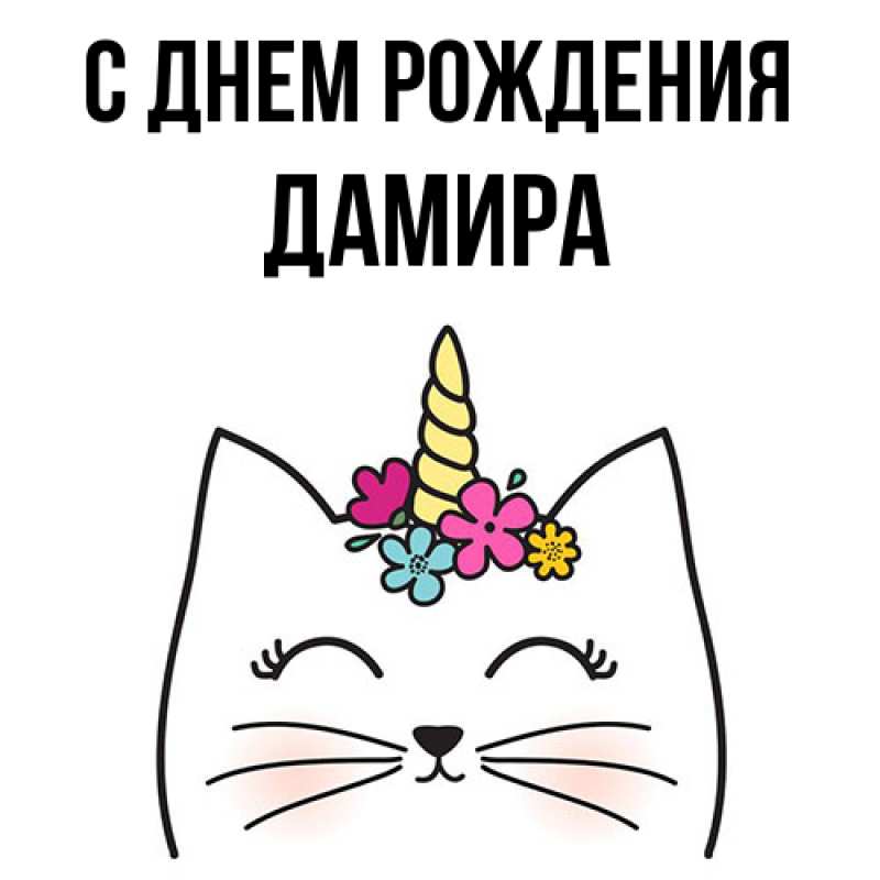 Картинка С днем рождения, Дамира
