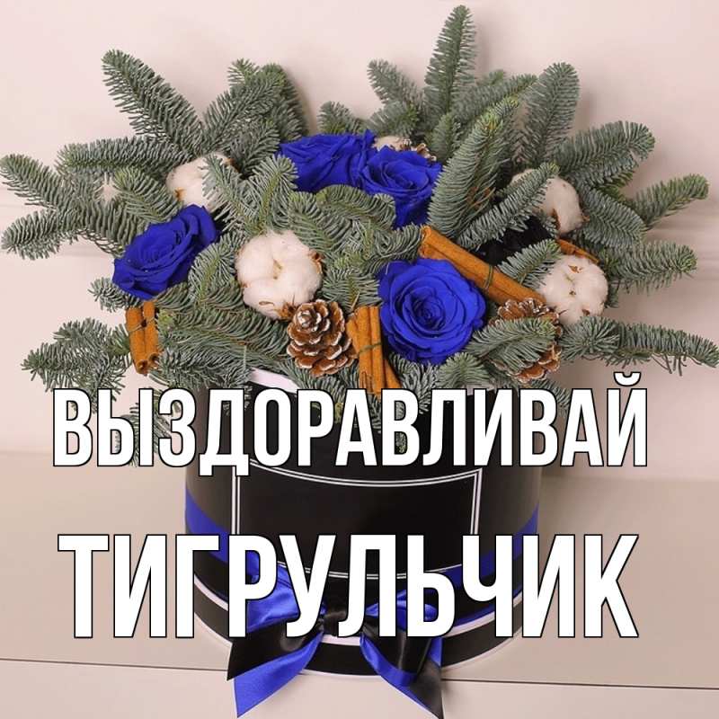 Картинка Выздоравливай, Тигpульчик