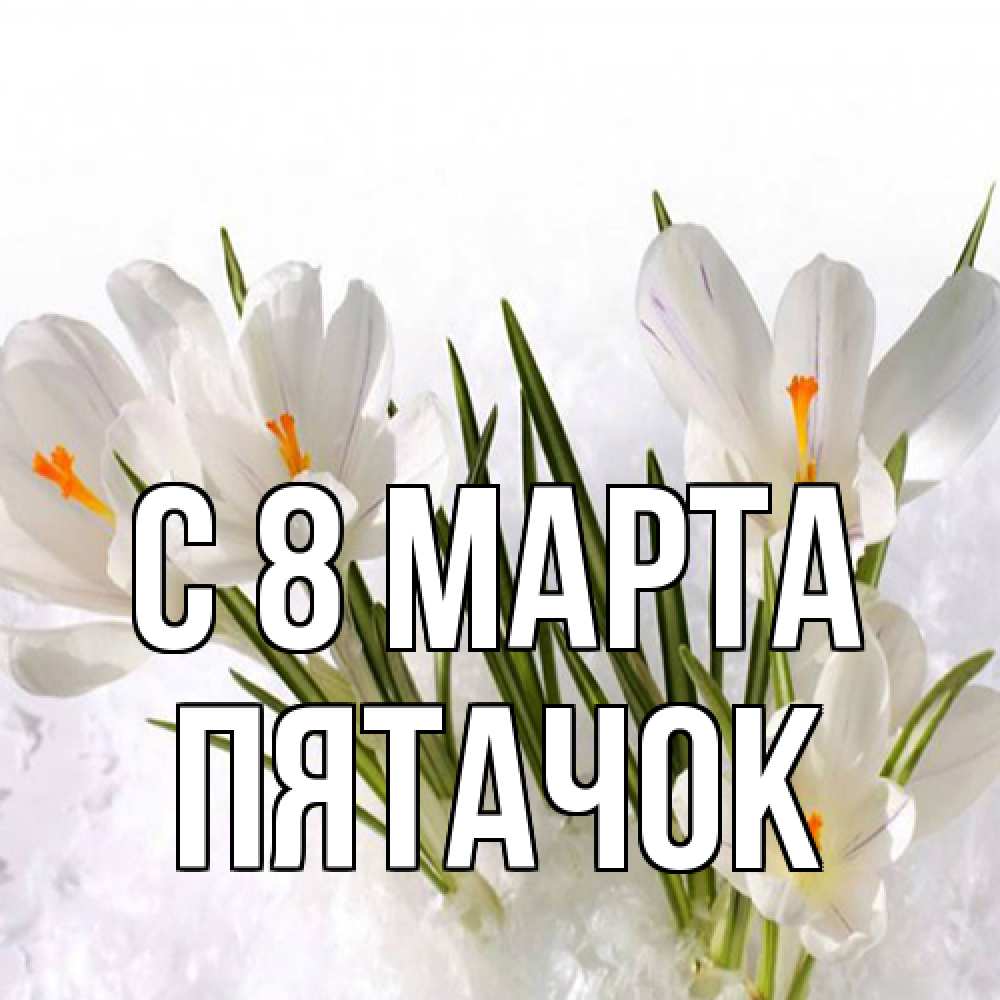 Открытка на каждый день с именем, Пятачок C 8 МАРТА под снегом Прикольная открытка с пожеланием онлайн скачать бесплатно 