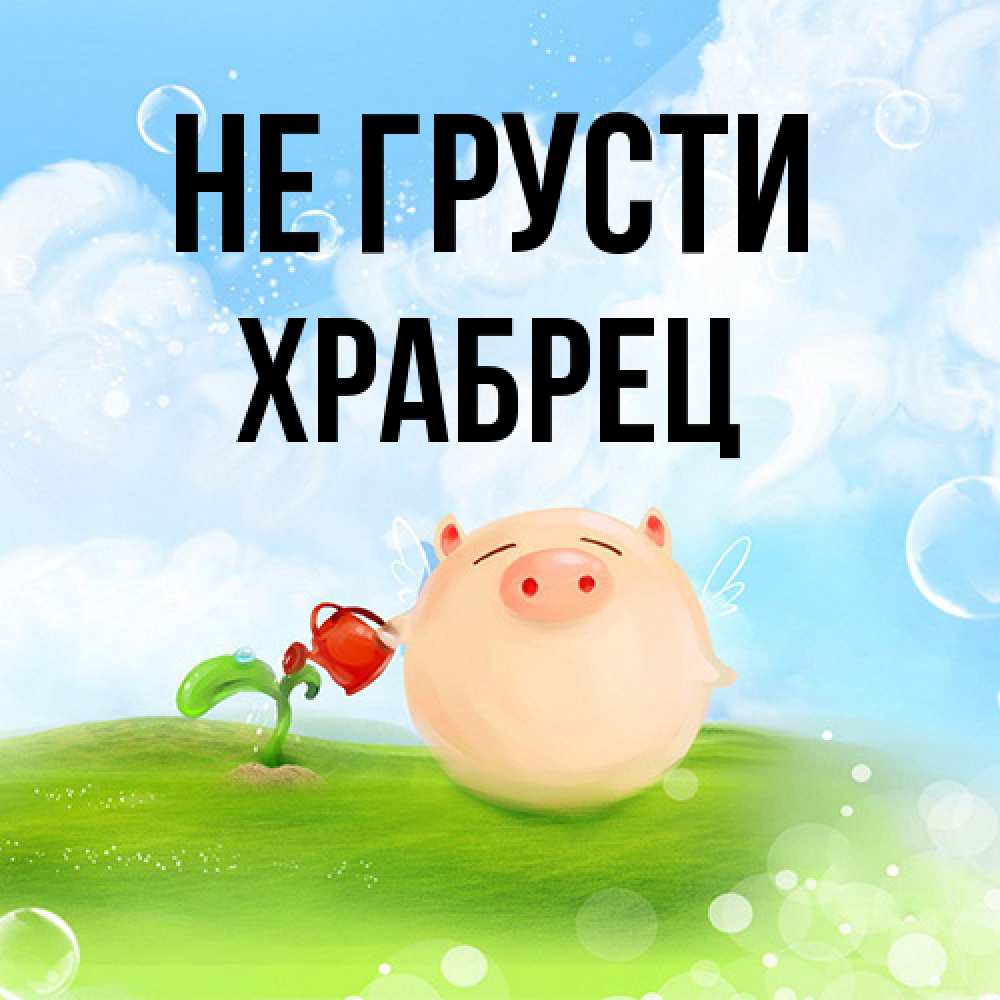Открытка на каждый день с именем, Храбрец Не грусти поливает цветок порося Прикольная открытка с пожеланием онлайн скачать бесплатно 