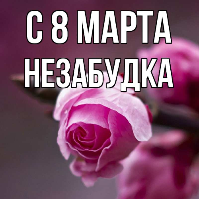 Картинка C 8 МАРТА, Незабудка
