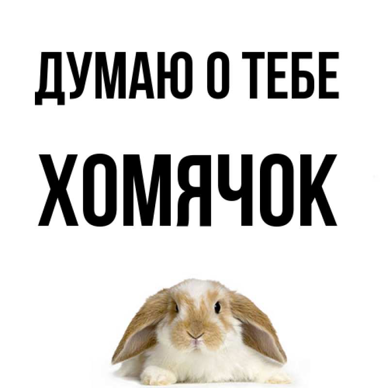 Картинка Думаю о тебе, Хомячок