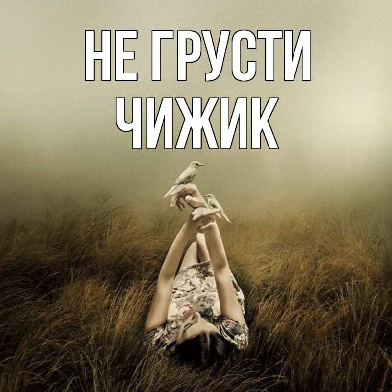 Картинка Не грусти, Чижик