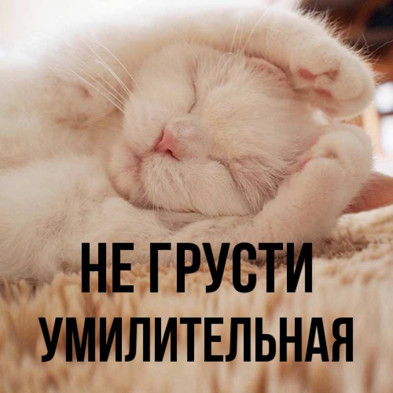 Картинка Не грусти, умилительная