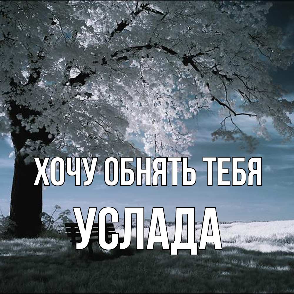 Открытка на каждый день с именем, услада Хочу обнять тебя дерево Прикольная открытка с пожеланием онлайн скачать бесплатно 