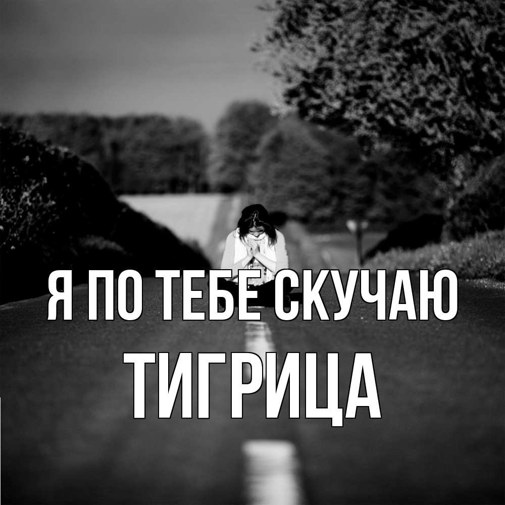 Открытка на каждый день с именем, Тигрица Я по тебе скучаю фото Прикольная открытка с пожеланием онлайн скачать бесплатно 