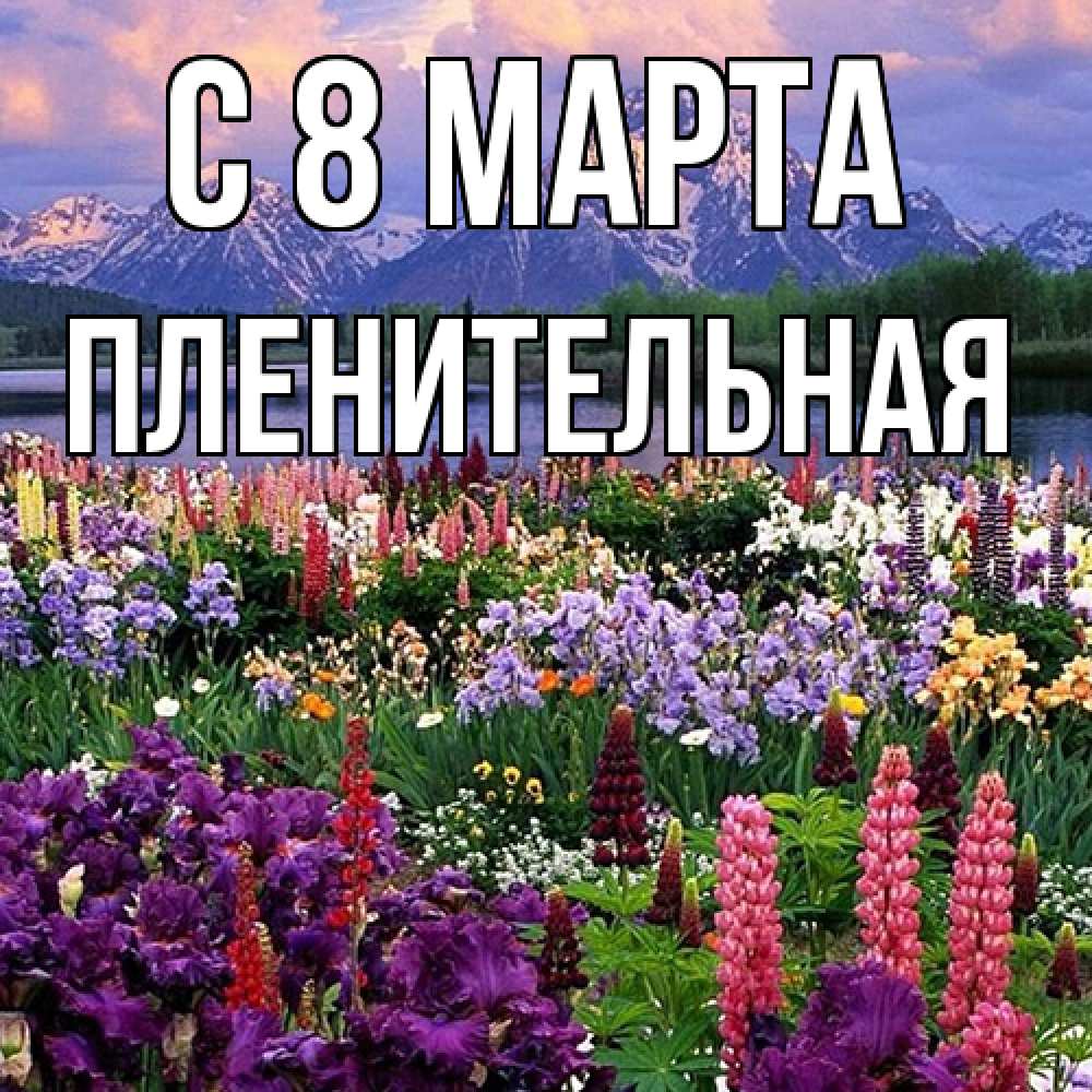 Открытка на каждый день с именем, пленительная C 8 МАРТА международный женский день Прикольная открытка с пожеланием онлайн скачать бесплатно 