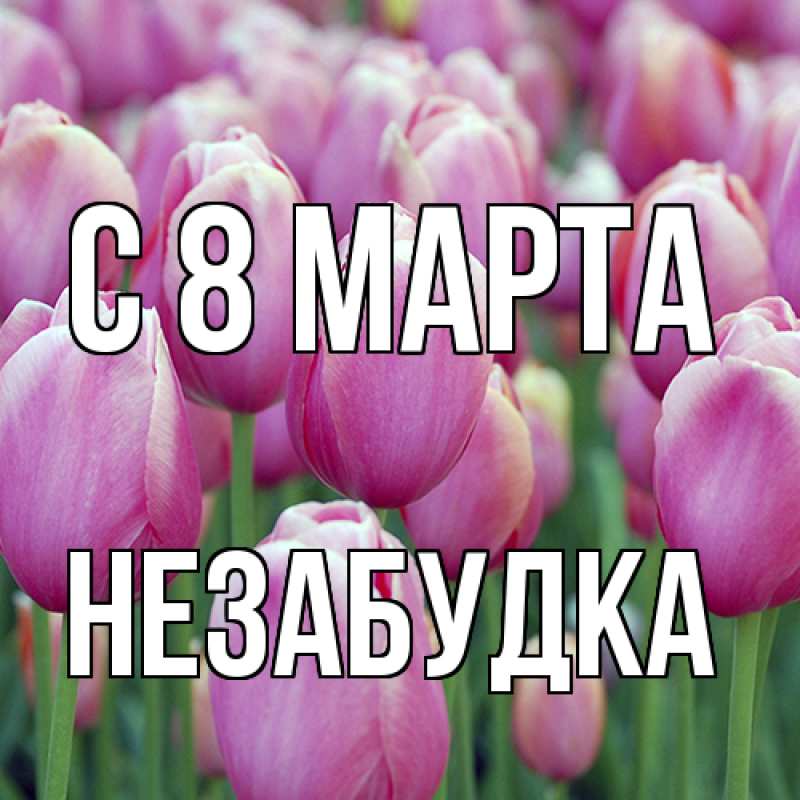 Картинка C 8 МАРТА, Незабудка