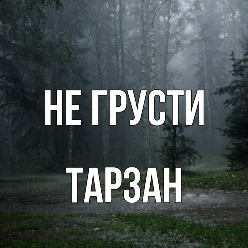 Картинка Не грусти, Тарзан